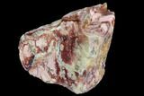 Polished, Brecciated Pink Opal Section - Western Australia #96306-2